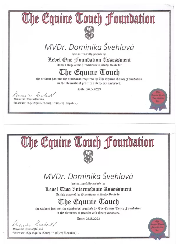 Zkoušky Equine Touch level I a II