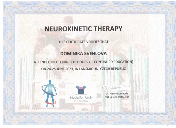Neurokinetická terapie pro koně