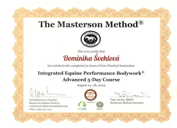 Masterson Method - pokročilý 5denní seminář
