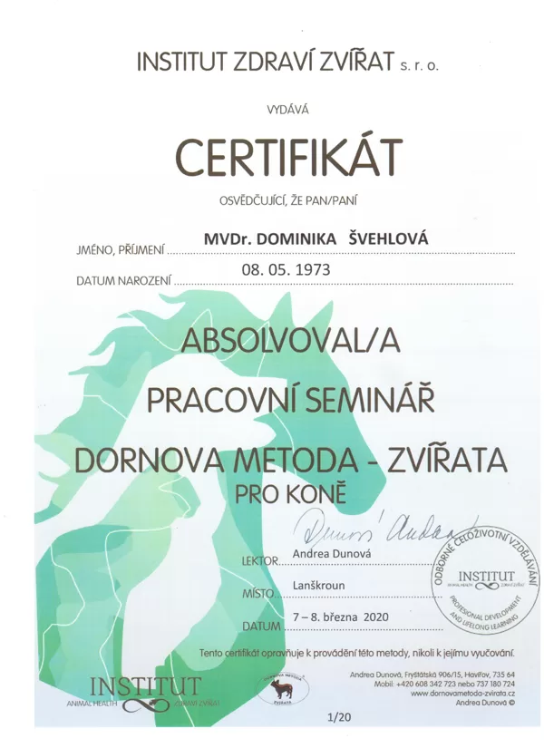 Dornova metoda pracovní seminář koně