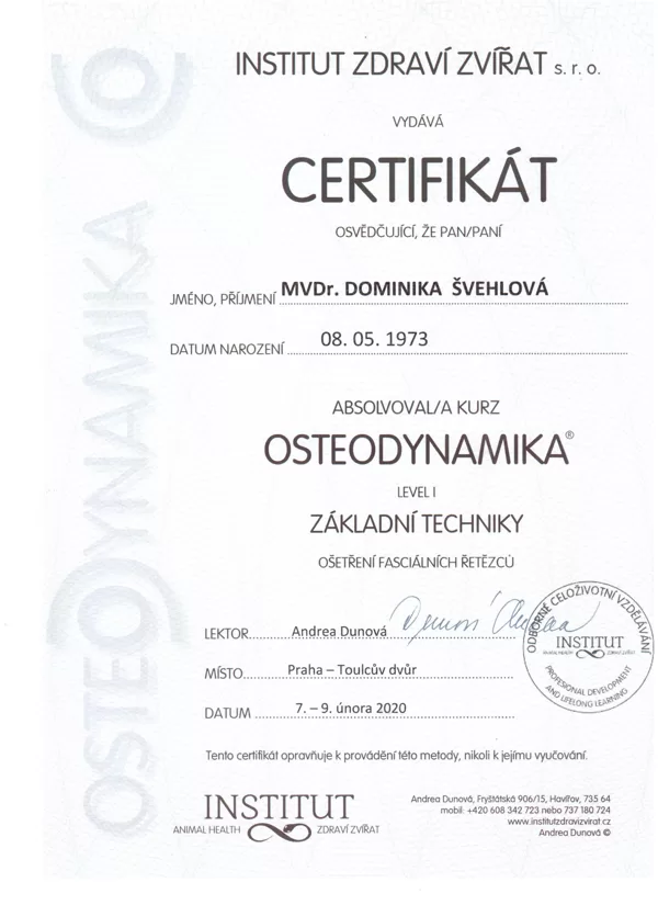 Osteodynamika I základní techniky lidi