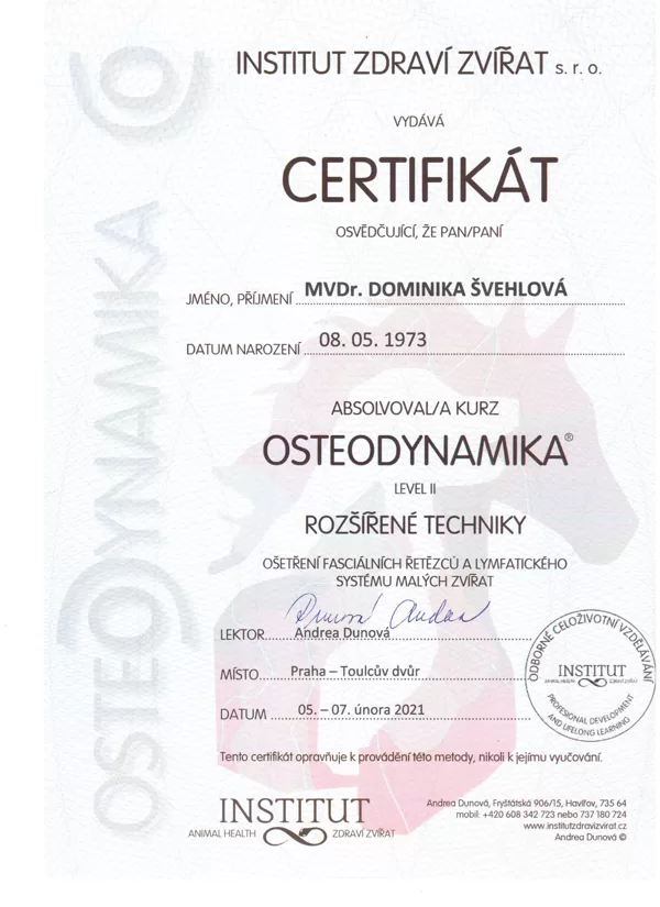 Osteodynamika II fasciální řetězce a lymfodrenáž