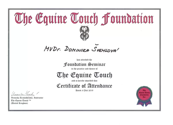 Equine touch level I