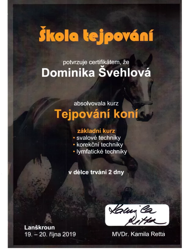 tejpování koní