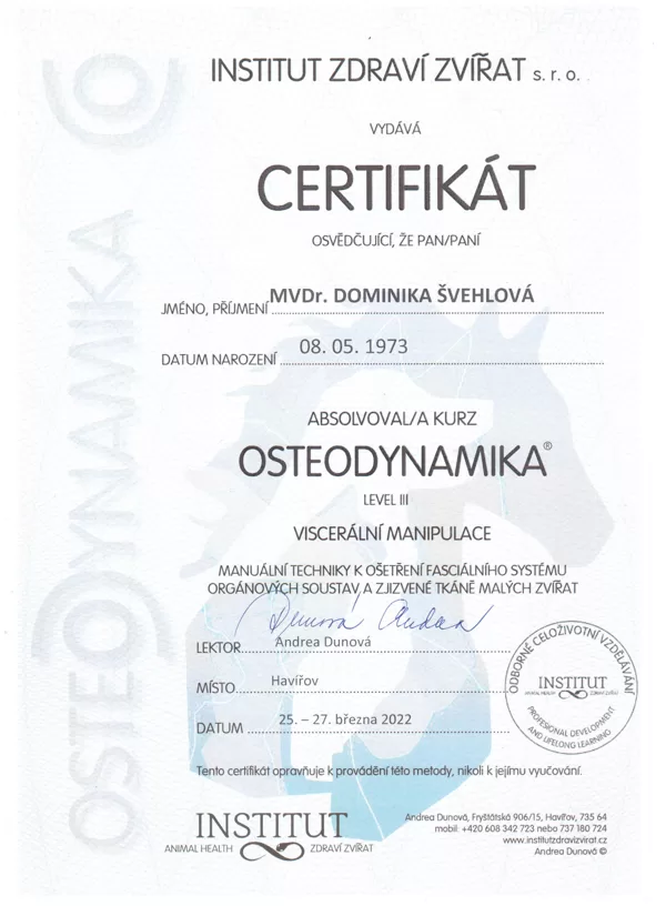 Osteodynamika III - viscerální techniky