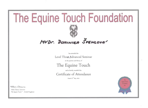 Equine Touch level III
